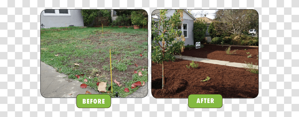 Planting Trees Before After, Yard, Outdoors, Nature, Backyard Transparent Png