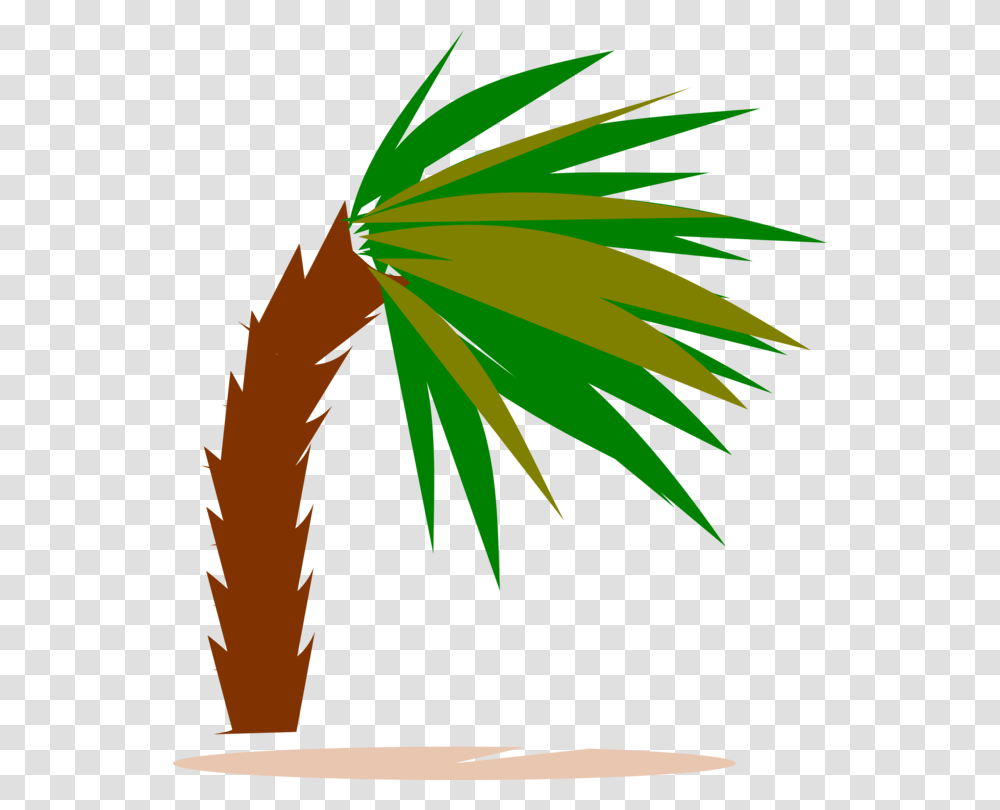 Plantleafarecales Palm Trees, Vegetation, Arecaceae, Weed, Aloe Transparent Png