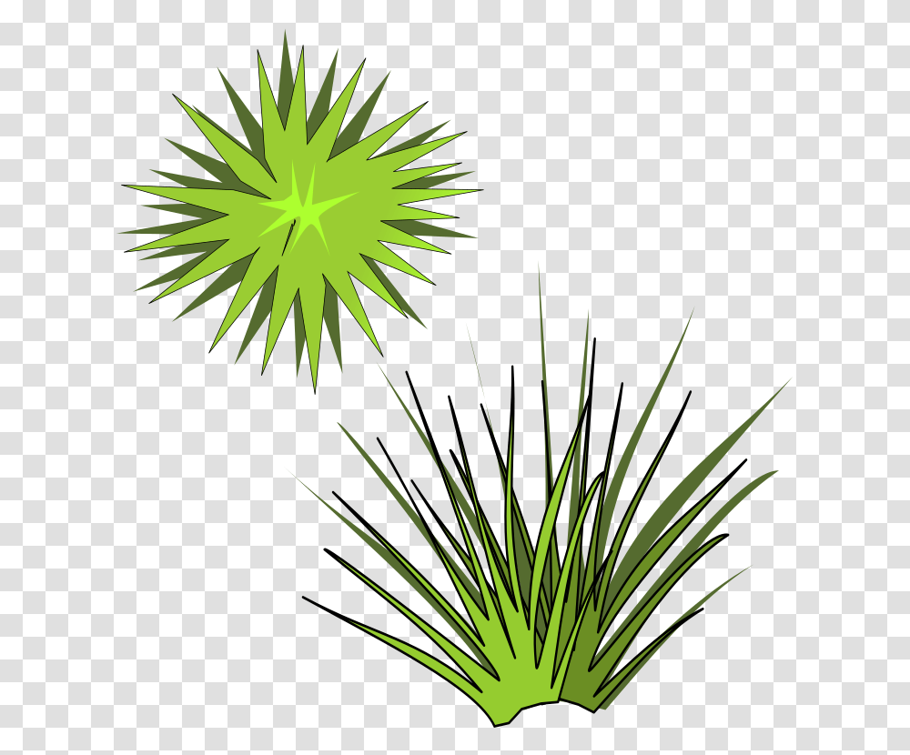 Plantleafarecales Spiky Plant Clipart, Nature, Outdoors, Night, Fireworks Transparent Png