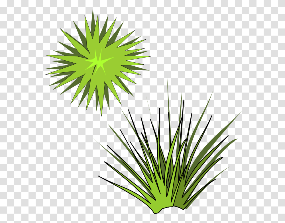 Plantleafarecales Spiky Plant Clipart, Nature, Outdoors, Night, Fireworks Transparent Png