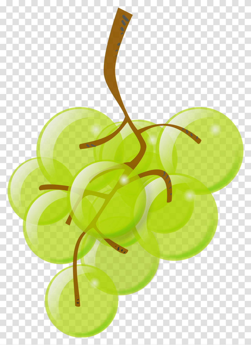 Plantleafgrapevine Family Green Grape Clipart, Fruit, Food, Grapes Transparent Png