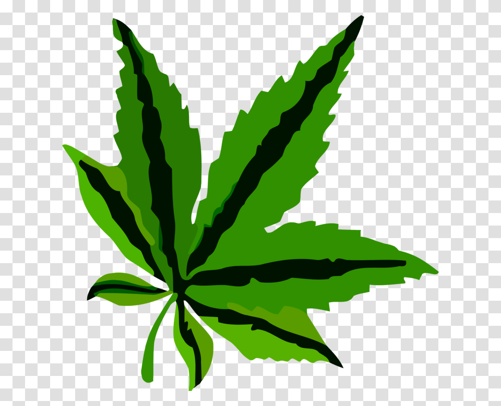 Plantleafhemp Family Leaf Pdf, Green, Painting, Weed Transparent Png