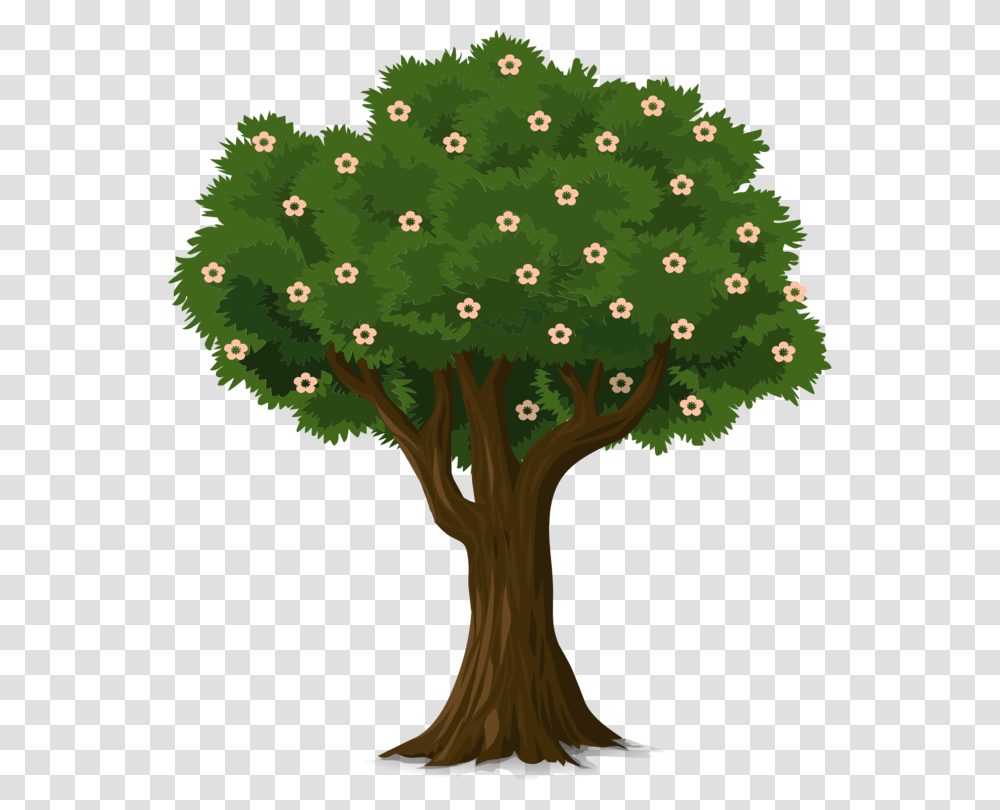 Plantleafshrub Tree With Flower Clipart, Bush, Vegetation, Blossom Transparent Png