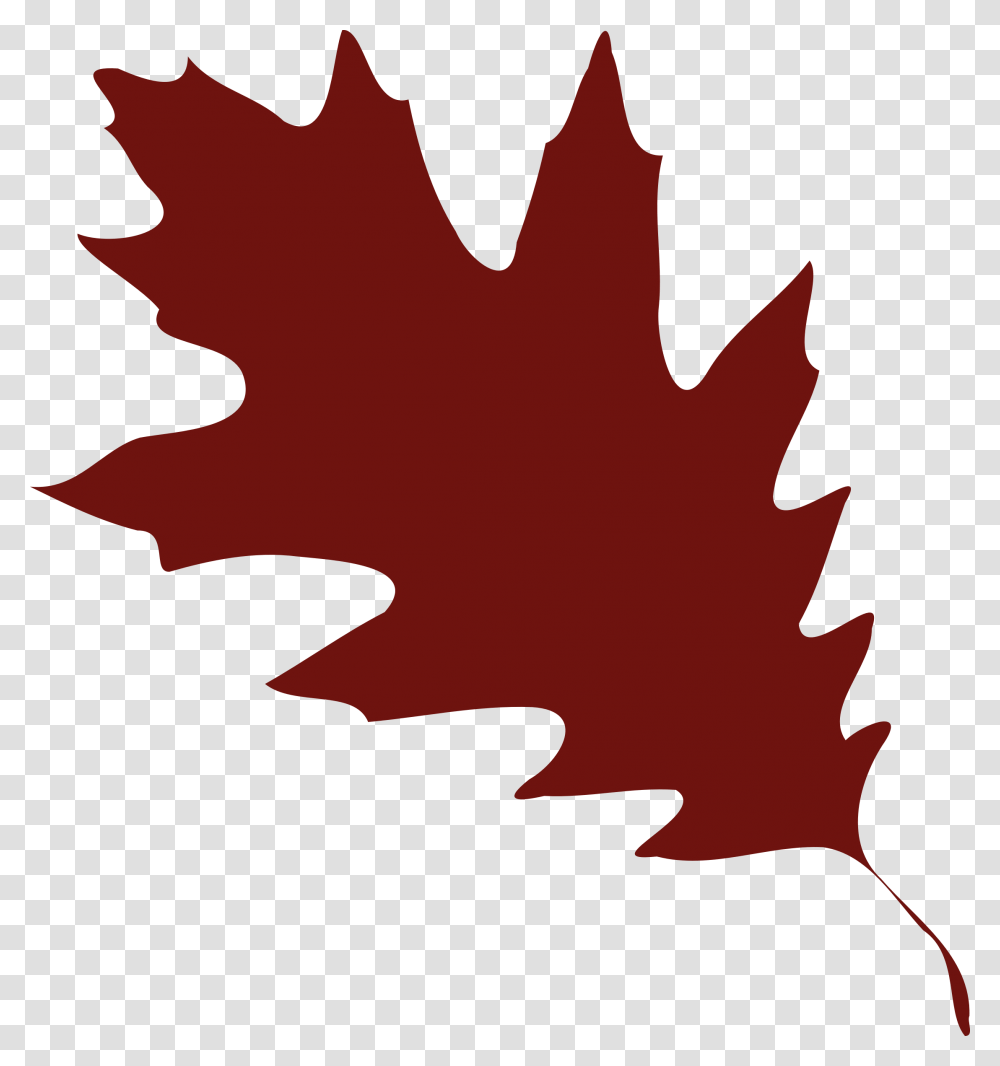 Plantleaftree Clipart Royalty Free Svg Oak Leaf Vector, Maple, Maple Leaf, Person, Human Transparent Png