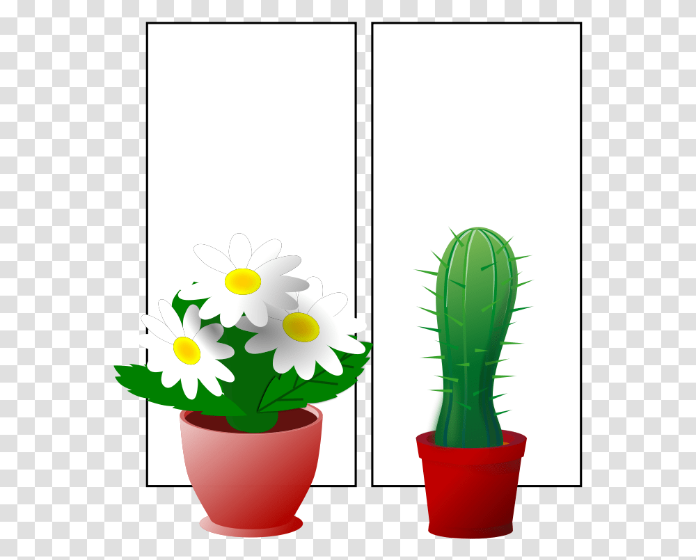 Plants 001 Free Window With Plants Window Clipart, Daisy, Flower, Daisies, Blossom Transparent Png