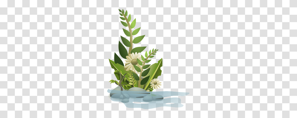 Plants Nature, Floral Design, Pattern Transparent Png