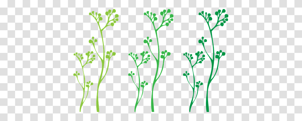 Plants Nature, Vase, Jar, Pottery Transparent Png