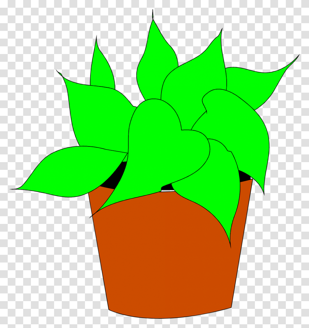 Plants Clip Art, Star Symbol Transparent Png