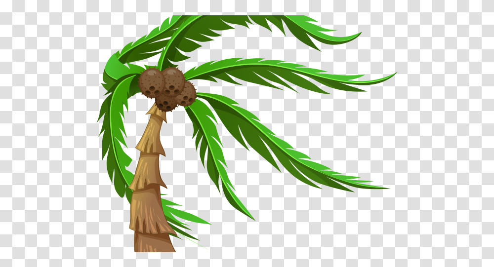 Plants Clipart Coconut Tree Coconut Tree With Brown Coconuts, Weed, Hemp, Green, Palm Tree Transparent Png