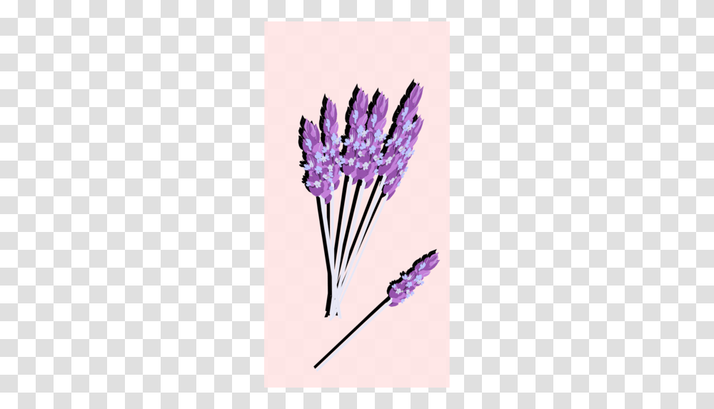 Plants Clipart, Lavender, Flower, Blossom Transparent Png