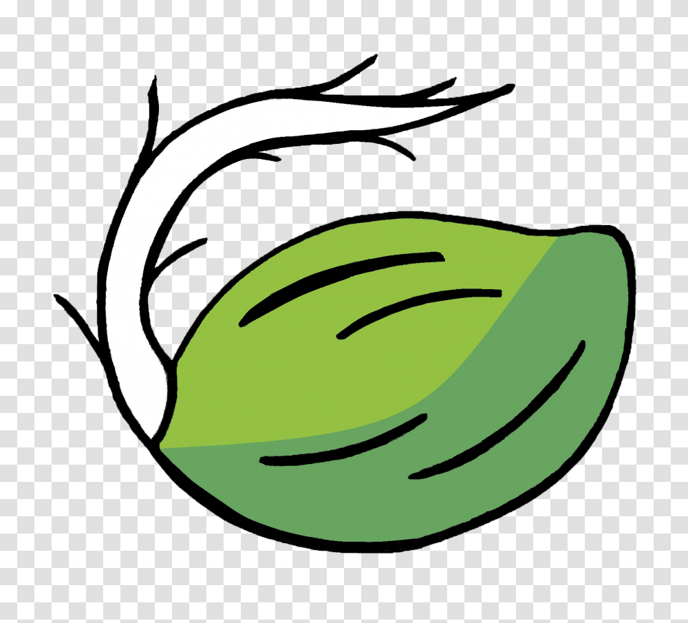 Plants Clipart Living Thing Plants Living Thing Free, Fruit, Food, Mouth, Furniture Transparent Png