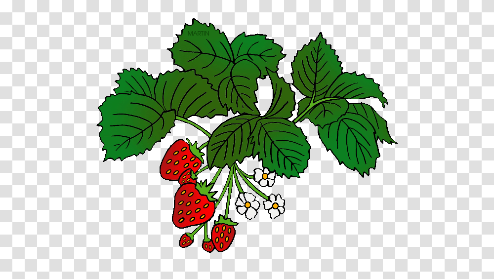 Plants Clipart Strawberry, Fruit, Food, Leaf, Potted Plant Transparent Png