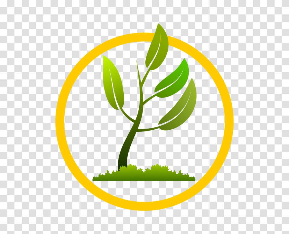 Plants Computer Icons Image Formats Leaf Vine, Seed, Grain, Produce, Vegetable Transparent Png