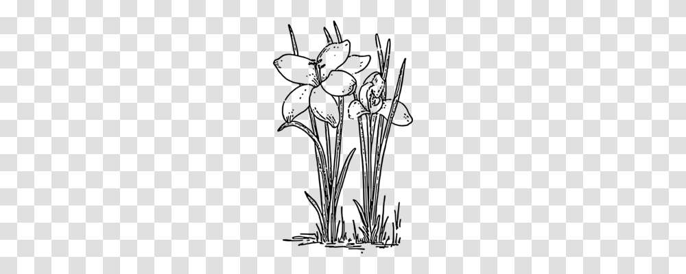 Plants Drawing Line Art Botany Flowering Plant, Gray, World Of Warcraft Transparent Png