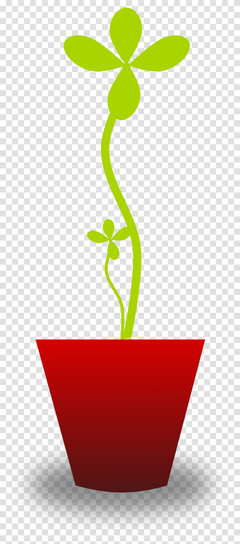 Plants, Flower, Blossom Transparent Png