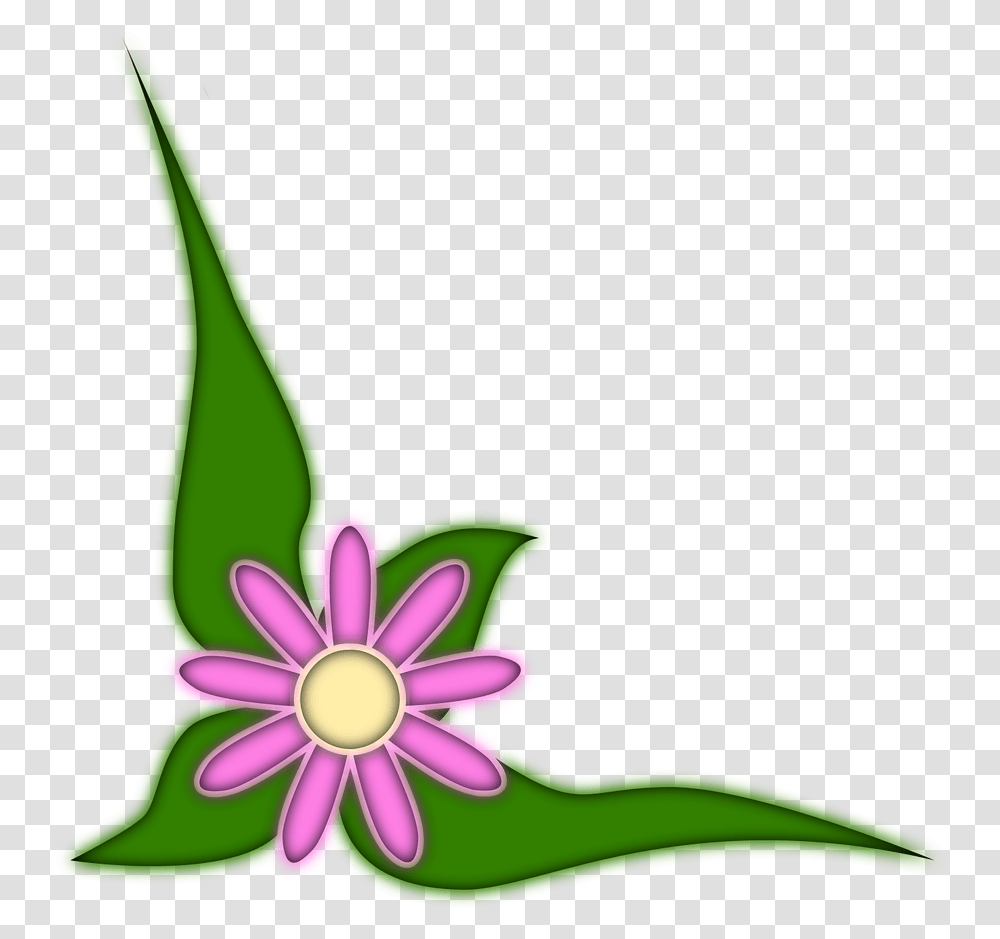 Plants, Flower, Blossom, Daisy, Daisies Transparent Png