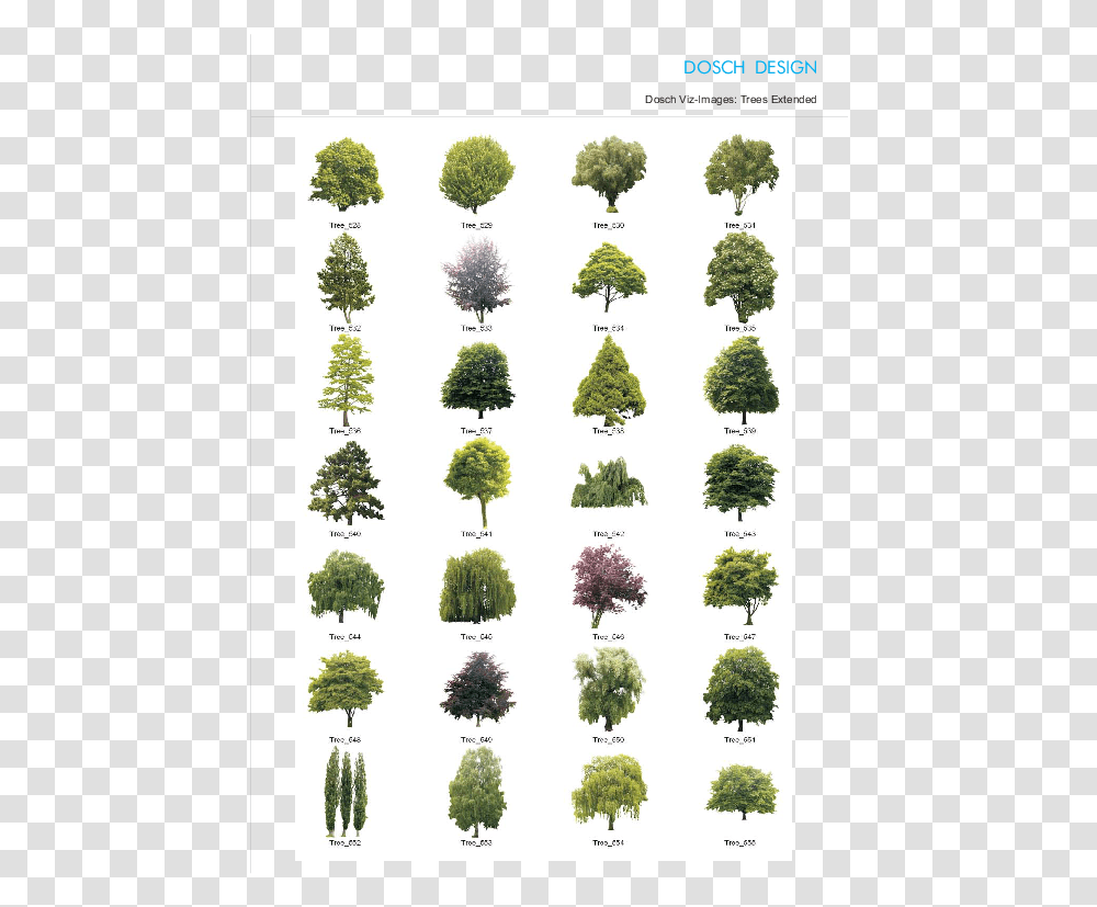 Plants For Photoshop Attractive Quantity Discounts Up Para Photoshop, Tree, Conifer, Potted Plant, Vase Transparent Png