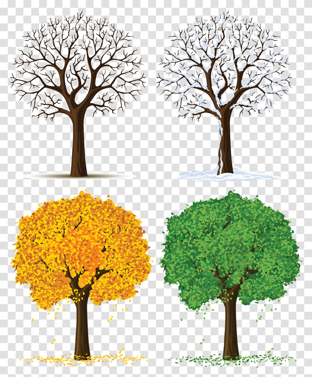 Plants In Different Seasons Transparent Png