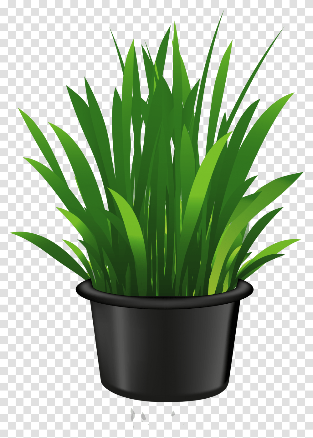 Plants In Pot Clipart, Grass, Flower, Blossom, Bamboo Transparent Png