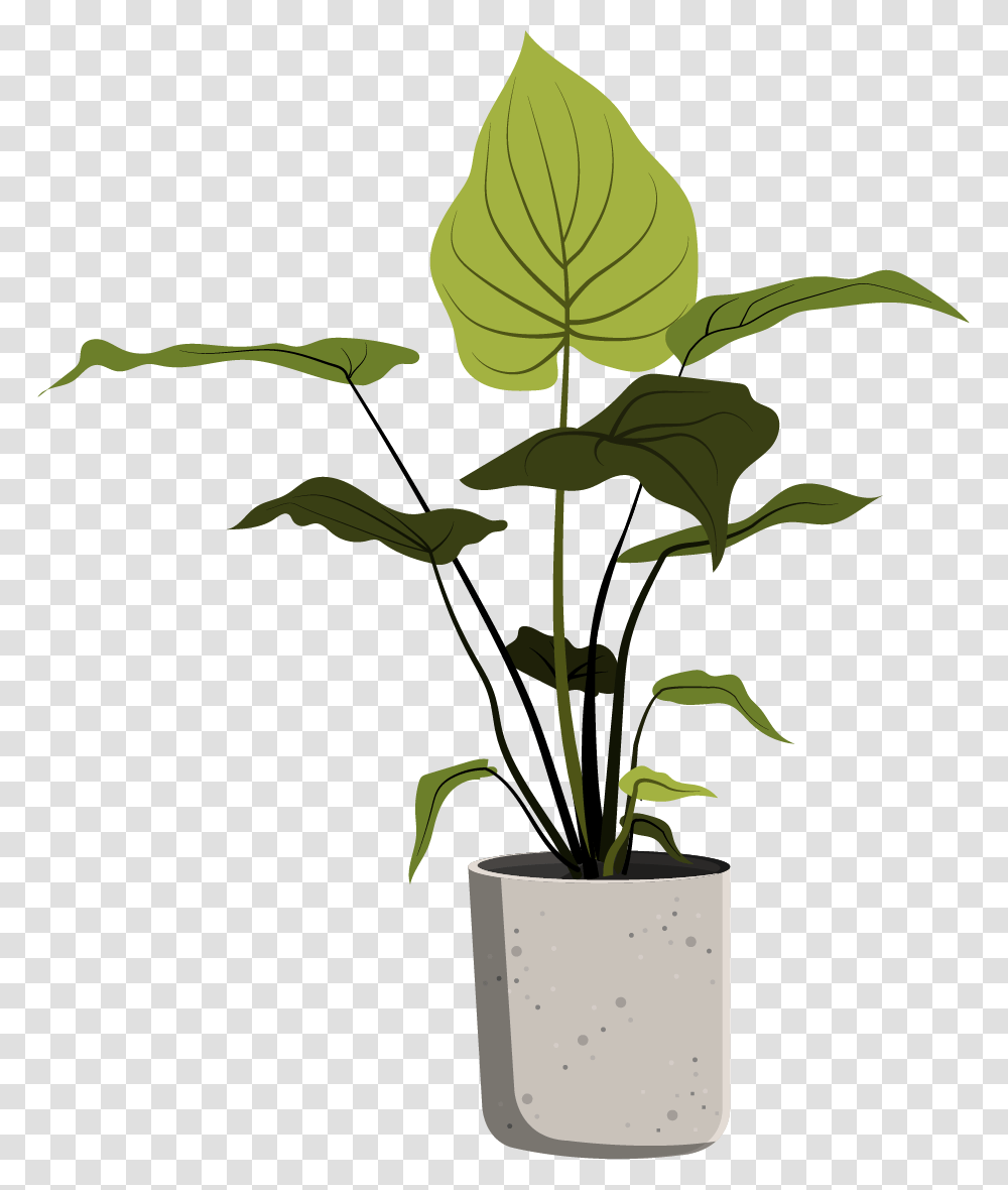 Plants In Pots Sketch, Leaf, Green, Flower, Blossom Transparent Png