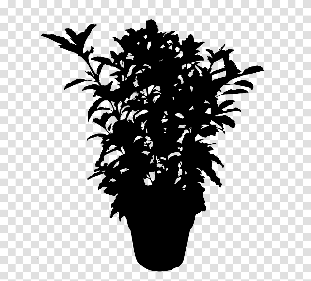 Plants Leaf Flowering Silhouette Plant Free Download Plant Silhouette, Gray, World Of Warcraft Transparent Png