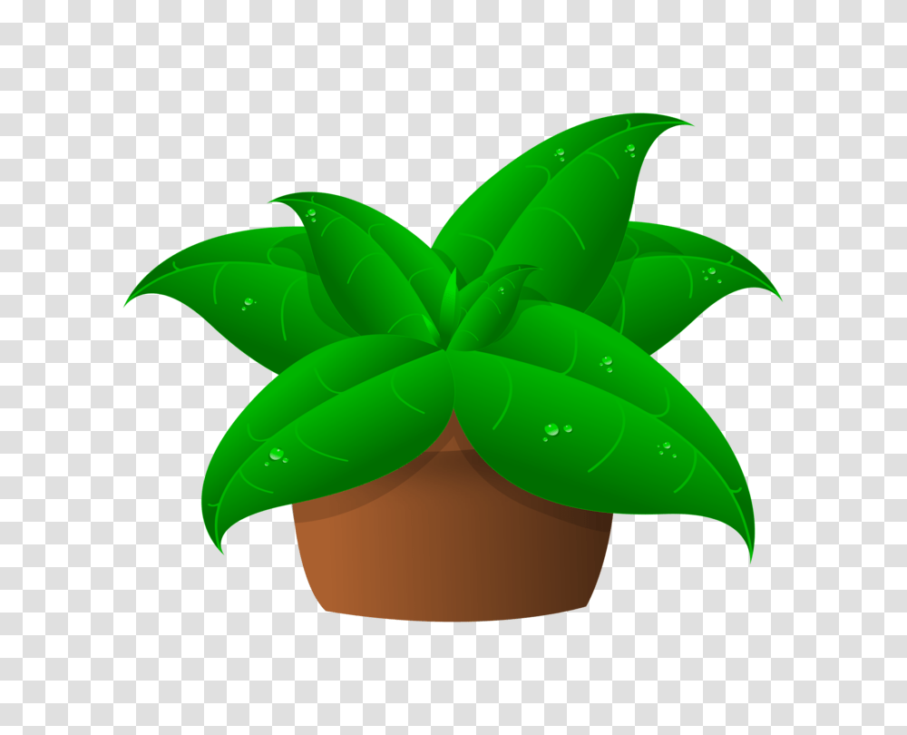 Plants Plant Cell Annual Plant Leaf Plant Collecting Free, Green, Potted Plant, Vase, Jar Transparent Png
