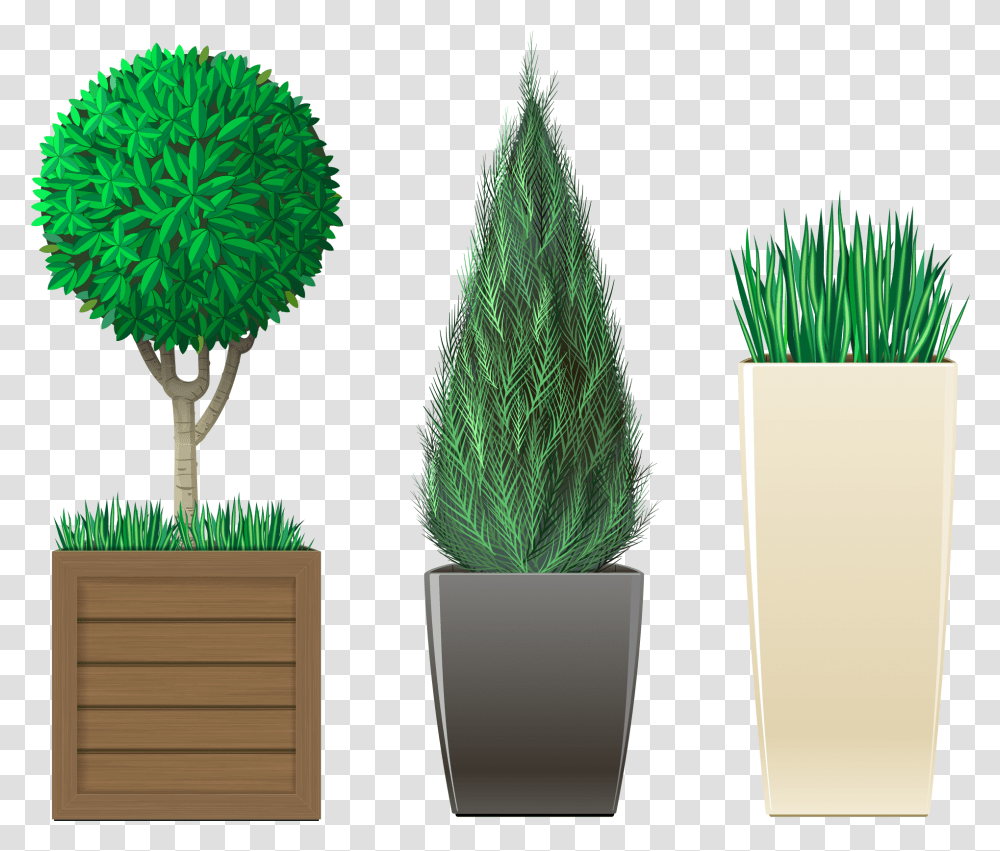Plants Plants, Tabletop, Furniture, Tree, Broom Transparent Png