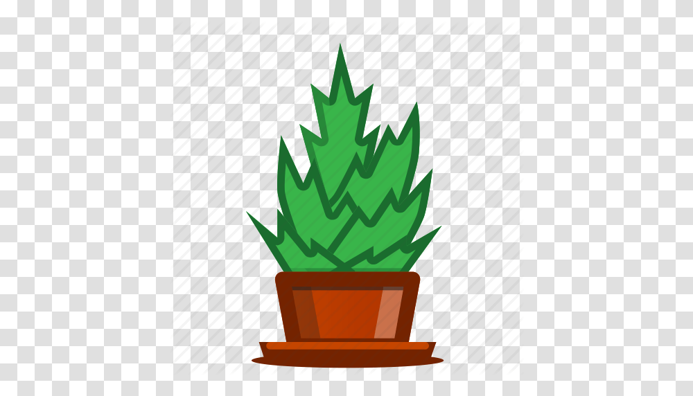 Plants Potted Plant Succulent Trees Icon, Leaf, Tabletop, Furniture Transparent Png