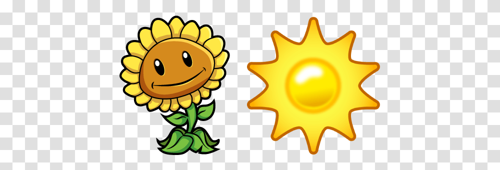 Plants Vs Plant Versus Zombie Sunflower, Gold, Bonfire, Flame, Lighting Transparent Png