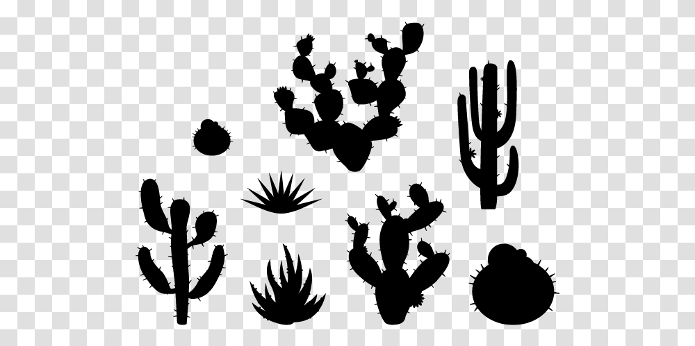 Plants Wall Decals Weedecor Desert Cactus Cartoon, Gray, World Of Warcraft Transparent Png