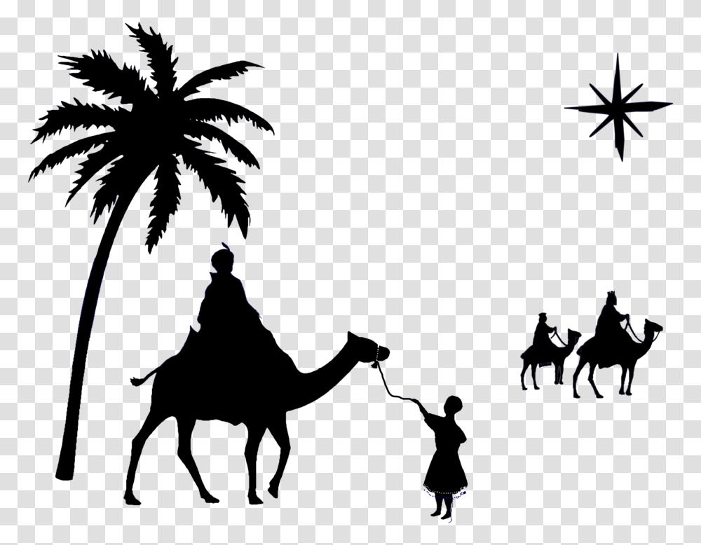 Plantsilhouettecamel Arabian Camel, Nature, Outdoors, Fireworks, Night Transparent Png