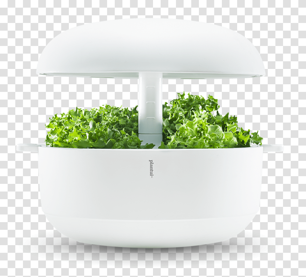 Plantui 6 Smart Garden, Bathtub, Bowl, Vase, Jar Transparent Png