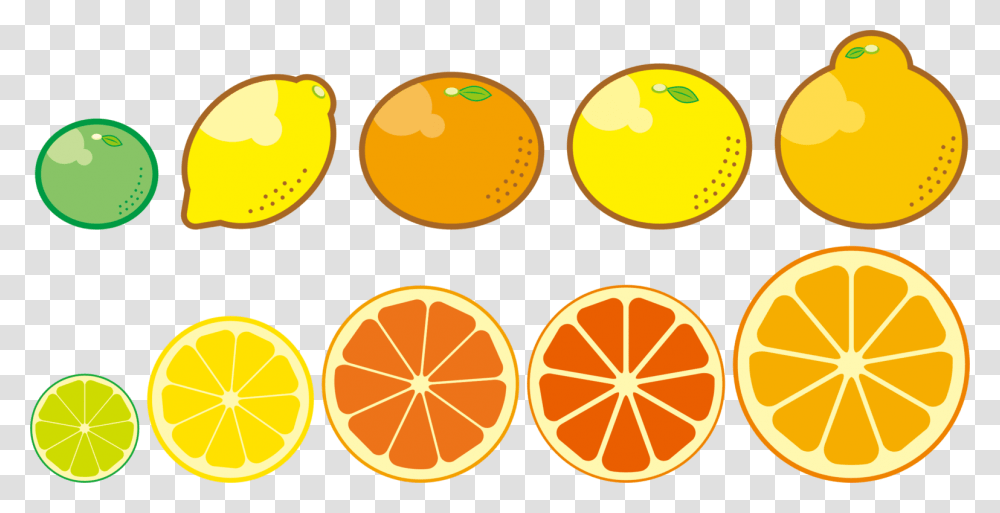 Plantvegetarian Foodlemon Citrus Trees Clip Art, Citrus Fruit, Produce, Orange Transparent Png