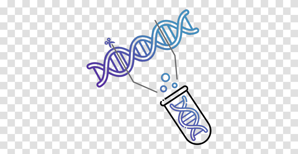 Plasmid Sequencing Dot, Text, Dynamite, Bomb, Weapon Transparent Png