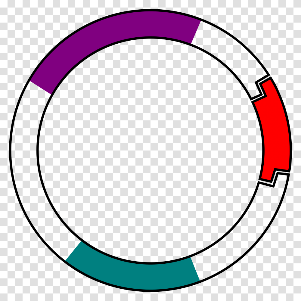Plasmid With Insert, Axe, Logo, Trademark Transparent Png