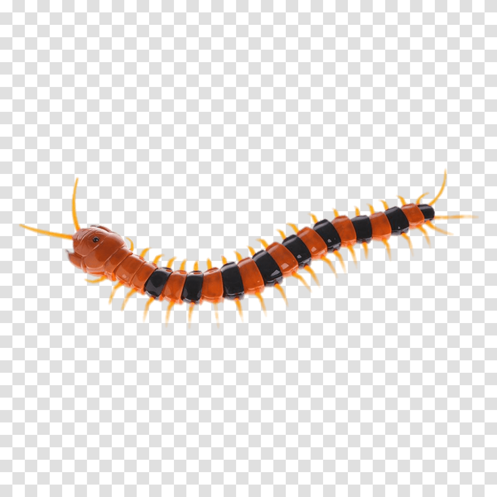 Plastic Centipede, Animal, Invertebrate, Worm, Reptile Transparent Png