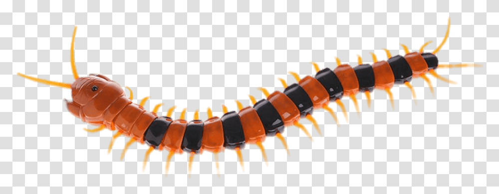 Plastic Centipede Centipedes, Screw, Machine, Animal, Invertebrate Transparent Png