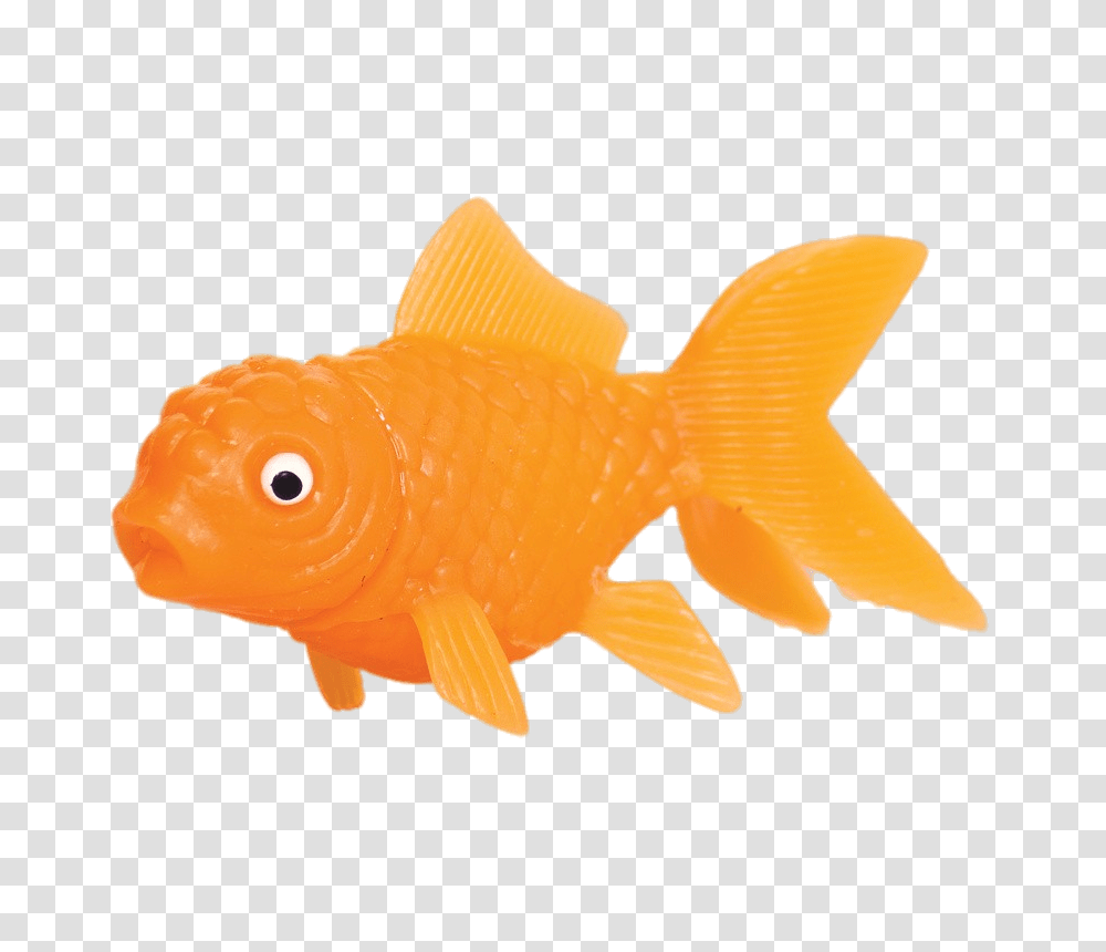 Plastic Goldfish, Animal Transparent Png