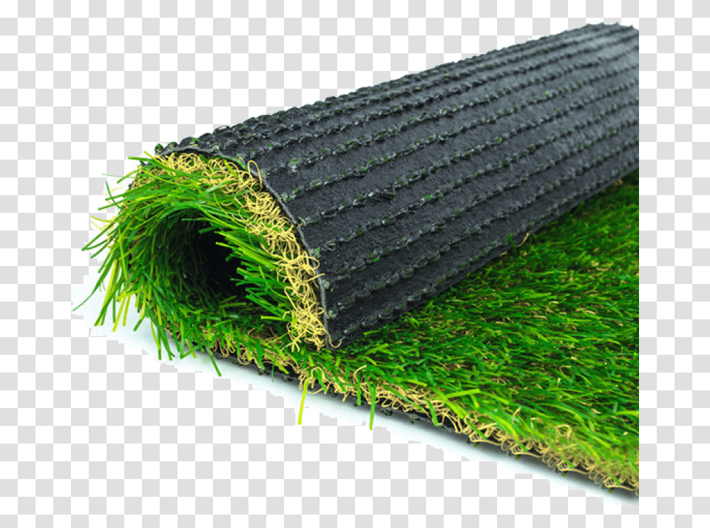 Plastic Grass Carpet In Sri Lanka, Moss, Plant, Rug, Bird Transparent Png