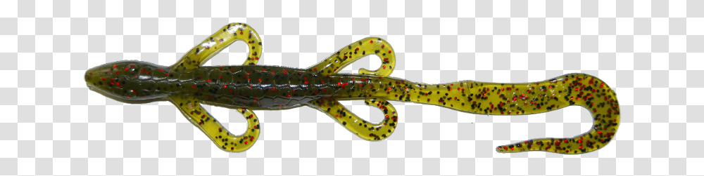 Plastic Lizard Bait, Animal, Amphibian, Wildlife, Reptile Transparent Png