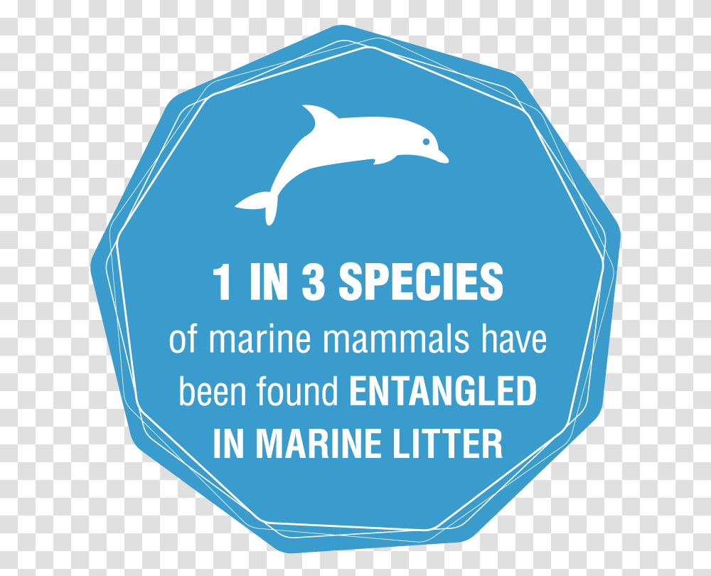 Plastic Pollution Ocean Hd Download 1 In 3 Species Of Marine Mammals Have Been Found Entangled, Dolphin, Sea Life, Animal, Bird Transparent Png