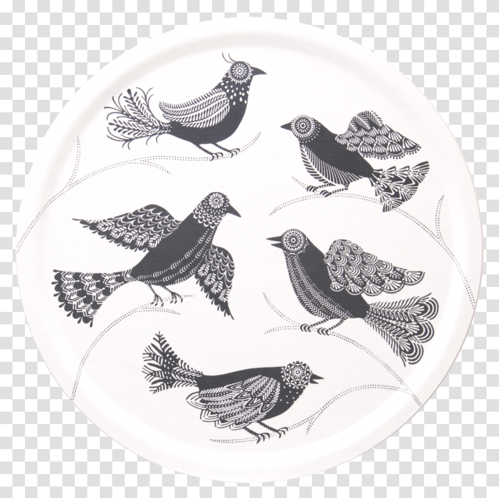 Plate, Bird, Animal, Dove, Pigeon Transparent Png