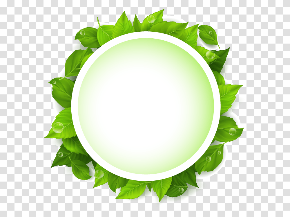 Plate Clipart Circle, Green, Lamp, Plant Transparent Png