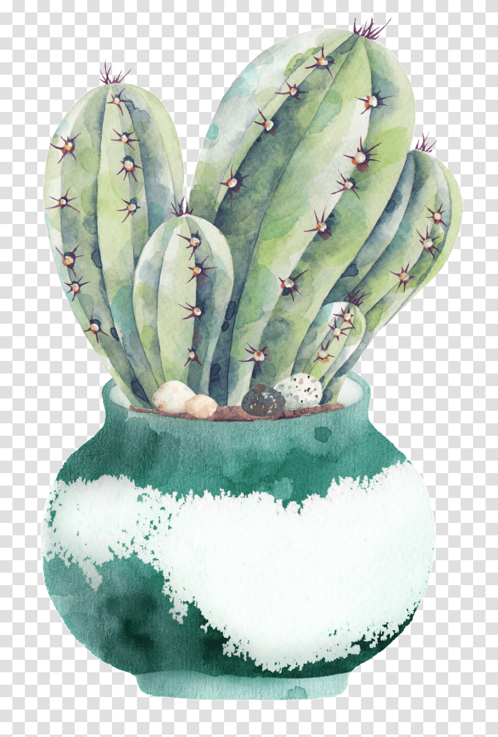 Plate Of Cactus Background Watercolor Cactus, Plant, Pollen, Snowman, Outdoors Transparent Png
