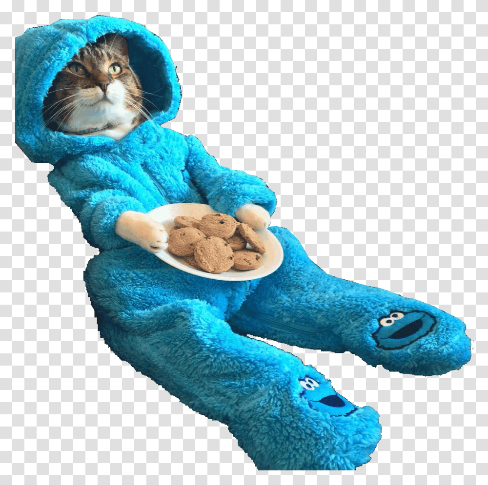 Plate Of Cookies Cats In Costumes, Toy, Clothing, Apparel, Plush Transparent Png