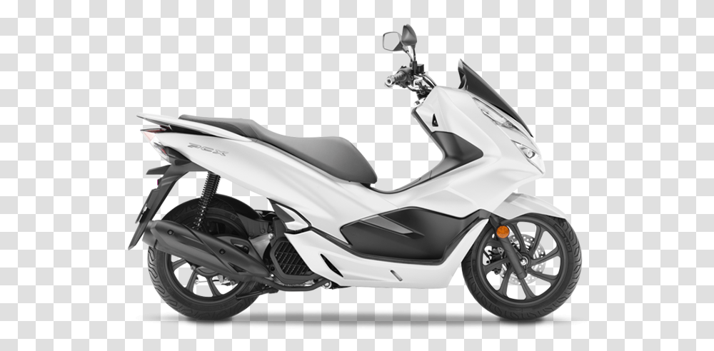 Plate Pcx White, Motorcycle, Vehicle, Transportation, Scooter Transparent Png