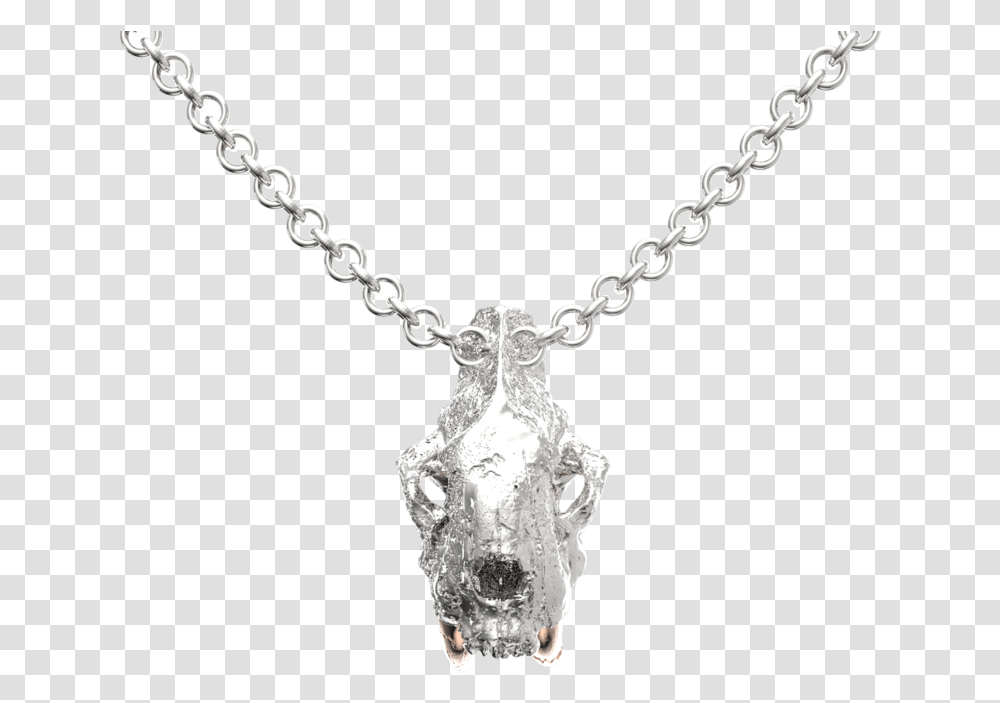 Platinum Chain With Diamond Pendant, Necklace, Jewelry, Accessories, Accessory Transparent Png