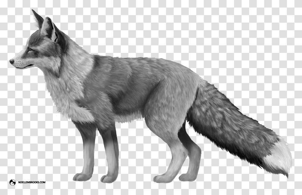 Platinum Colored Red Fox Red Fox, Dog, Pet, Canine, Animal Transparent Png
