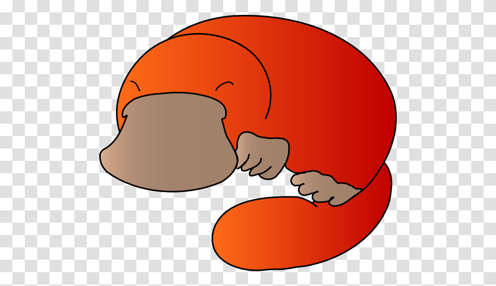 Platypus A Speaking Interface For Wikidata Wikimedia, Mammal, Animal, Wildlife, Sunglasses Transparent Png