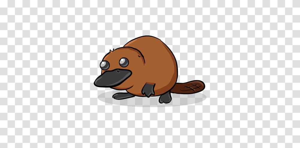 Platypus Clipart, Wildlife, Animal, Mammal, Beaver Transparent Png